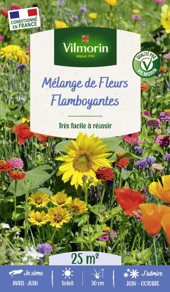 Mélanges de fleurs - Fleurs Flamboyantes - 25 m² - Mélange de fleurs - PACKAGING_RECTO